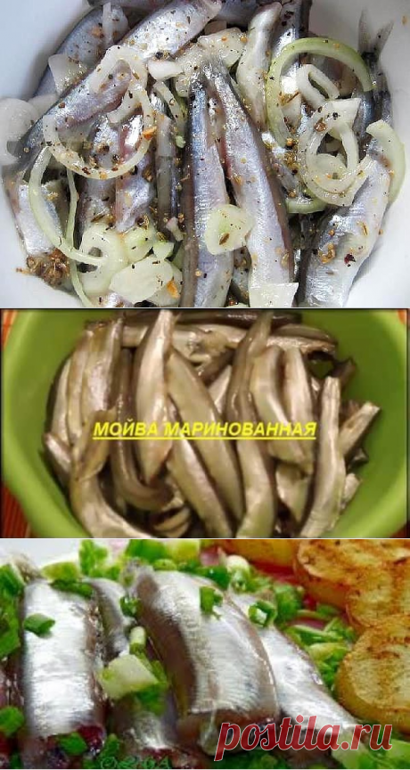 (1) Одноклассники