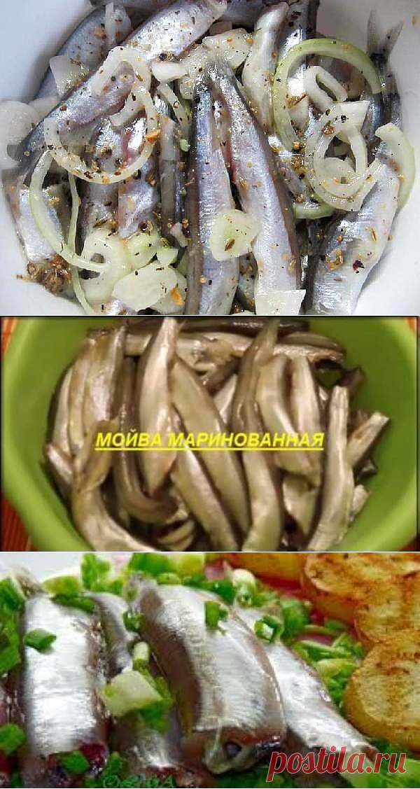 (1) Одноклассники