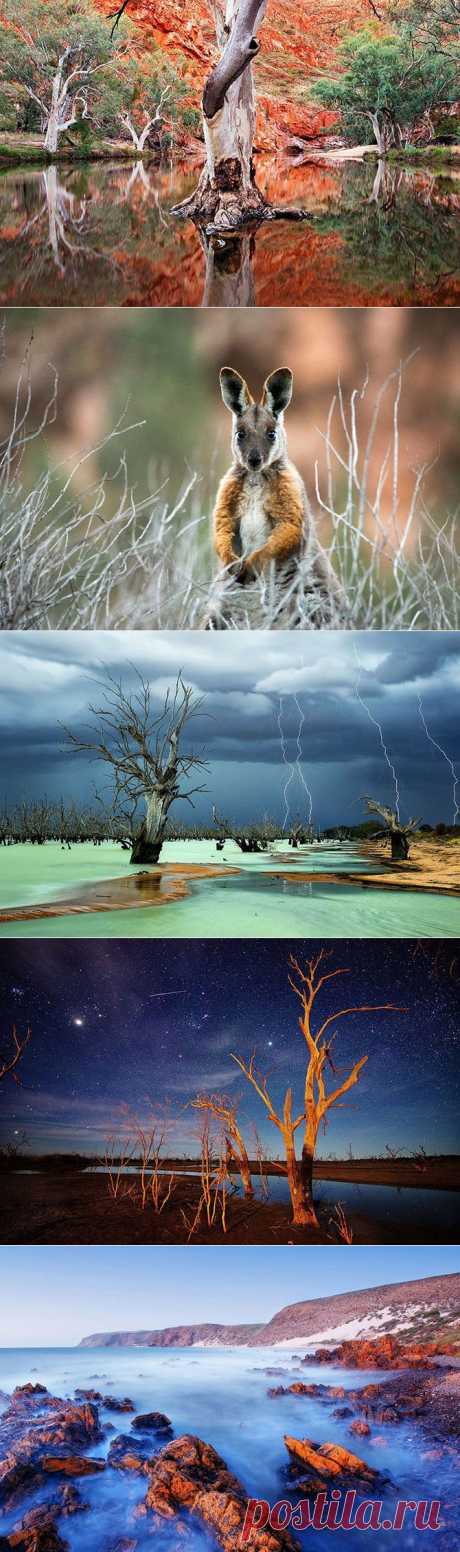 Австралийская местность