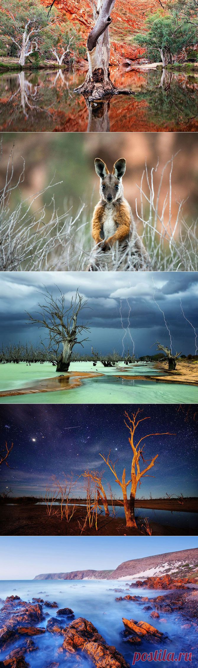 Австралийская местность