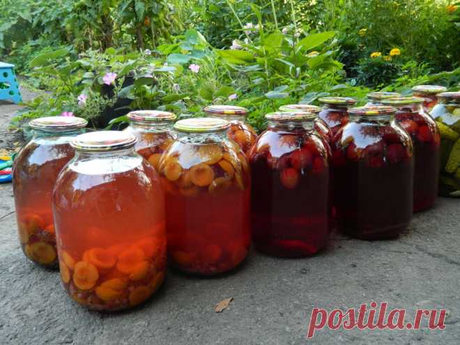 Рецепт компота 