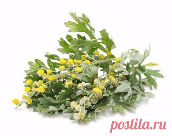 Горько, но не грустно 