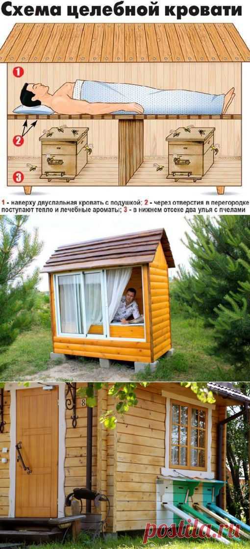 Удивительное лечение от многих болезней!!! Обязательно почитайте! | Познавательный сайт ,,1000 мелочей"