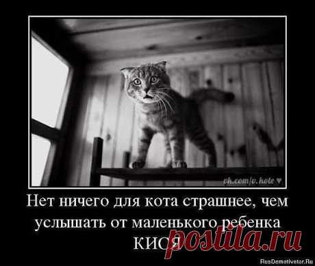 Бабушка - я выжил, наконец-то каникулы закончились!!!