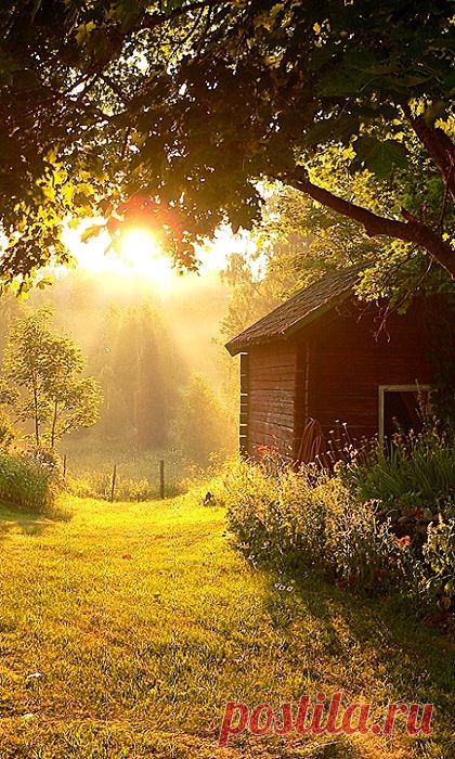 Country Sunbeams  -  Источник: anhthiennhien.vietcool.net  
|  Pinterest • Всемирный каталог идей