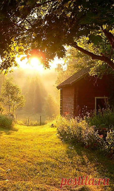 Country Sunbeams  -  Источник: anhthiennhien.vietcool.net  
|  Pinterest • Всемирный каталог идей
