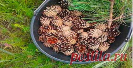 Сосуды прочистятся полностью, давление 120/80 будет всегда, если каждый день пить простой…