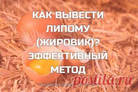 Как вывести липому (жировик) эффективный метод Как показывает статистика, липома — очень часто встречающийся недуг, и практически любой человек рано или поздно может с ним столкнуться. Липома, в простонародье часто именуемая жировиком — это доброкачественная опухоль из жировой ткани, причины возникновения которой до сих пор так и остаются неизвестными для официальной медицины. И все-таки, если природа наградила вас жировиком, и он …