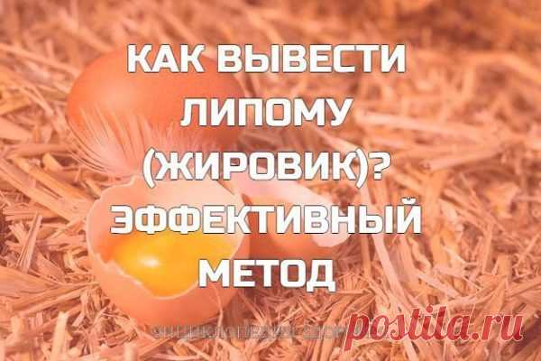 Как вывести липому (жировик) эффективный метод Как показывает статистика, липома — очень часто встречающийся недуг, и практически любой человек рано или поздно может с ним столкнуться. Липома, в простонародье часто именуемая жировиком — это доброкачественная опухоль из жировой ткани, причины возникновения которой до сих пор так и остаются неизвестными для официальной медицины. И все-таки, если природа наградила вас жировиком, и он …