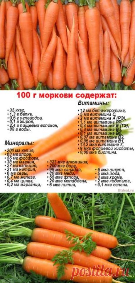 Вы узнаете все о моркови, в чем состоит ее польза и вред, состав и полезные свойства, а также получите рецепт приготовления настоящей корейской моркови.