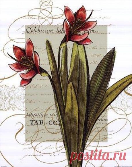 Найдено на сайте fulcrumgallery.com.