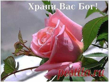 Одноклассники