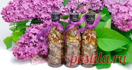 Настойка сирени при заболеваниях суставов