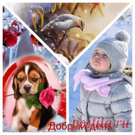 Коллажи.Сборка фото. - Google+