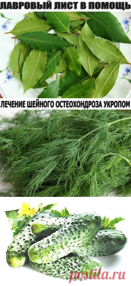 (57) Одноклассники