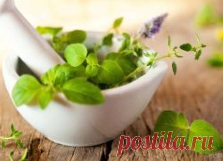 Бронхиальная астма – лечение народными средствами