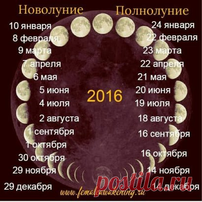 (65) Одноклассники