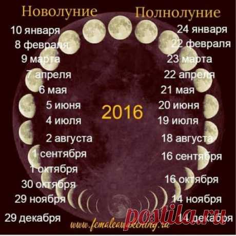(65) Одноклассники