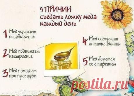 Здоровье>5 причин съедать ложку меда каждый день