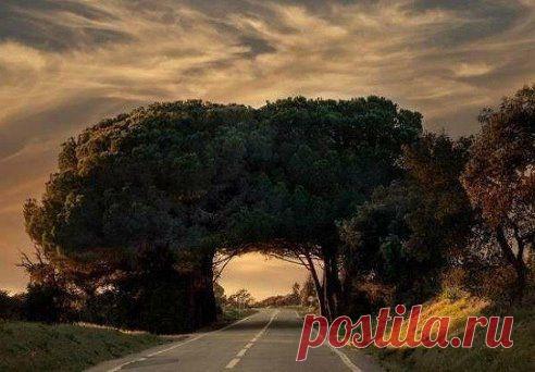 Самая красивая арка, которую я видел в жизни!!!! Португалия