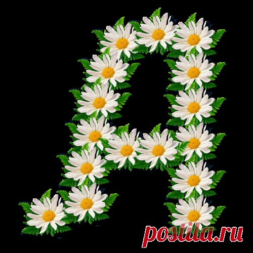 Без заголовка