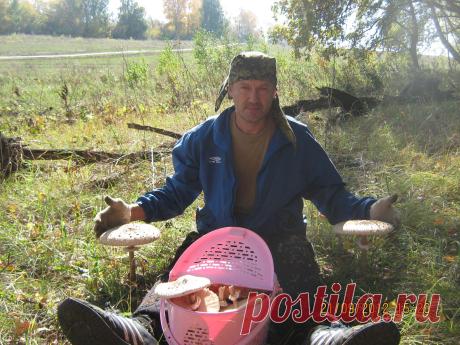 зонтики