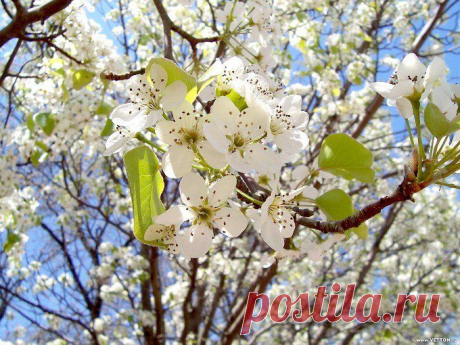 Фотографии на стене сообщества | 32 786 фотографий