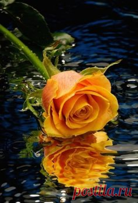 .beautiful.