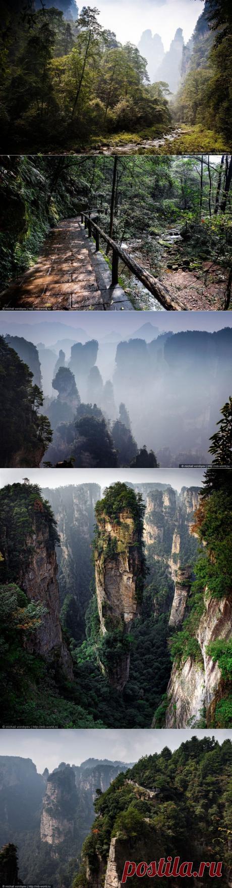 Таинственный парк Аватар