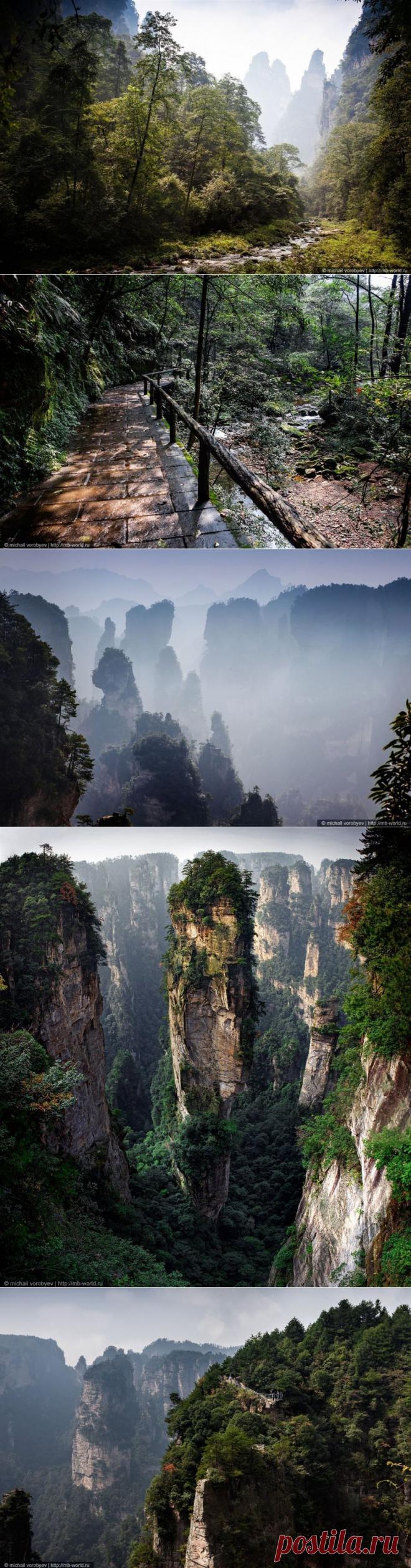 Таинственный парк Аватар