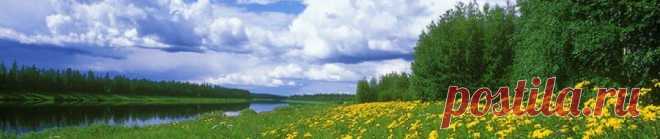 О народной медицине | Фитоконсультант