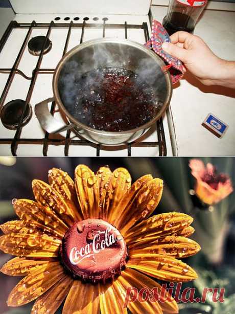 Как использовать Coca-Cola в хозяйстве.