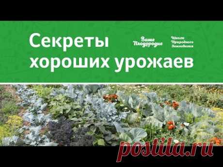 Секреты хороших урожаев