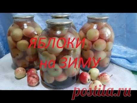 ЯБЛОКИ  НА  ЗИМУ