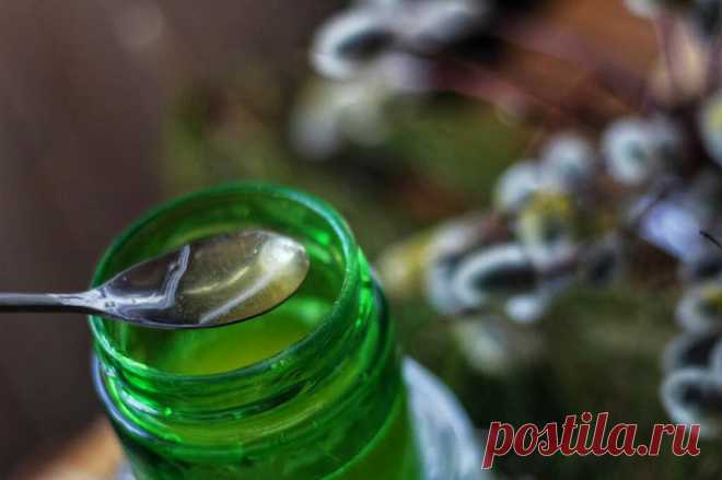 КИСЛОМЁД: забытый русский рецепт наших бабушек