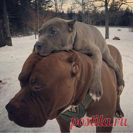 Обнимашки ❤