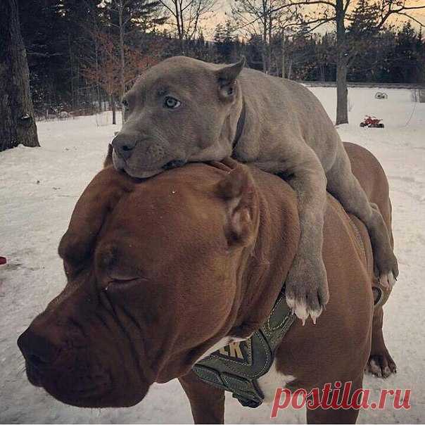 Обнимашки ❤