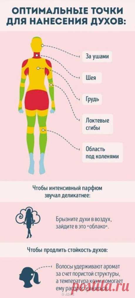 Руководство для тех, кто хочет разбираться в парфюме