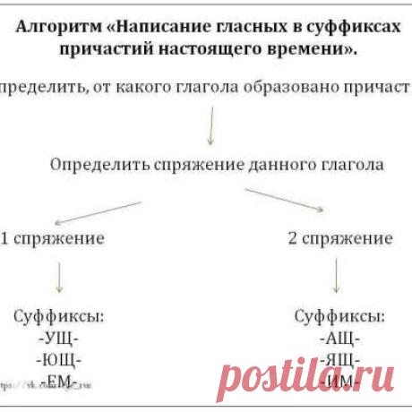 Учитель русского языка