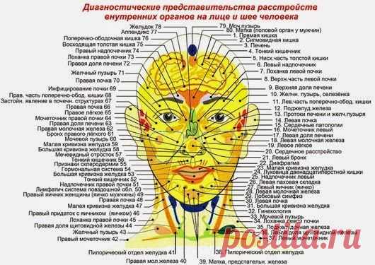 Как определить болезнь внутренних органов по лицу / Все для женщины