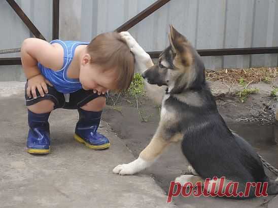 - Благословляю... тебя, Сын..мой, теперь.. можешь... по лужам... бегать...! Cмотрим ссылку ниже