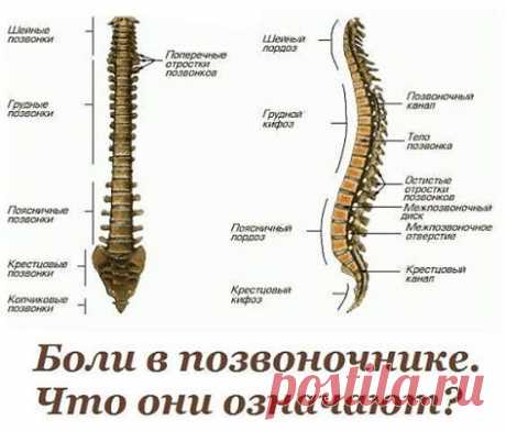 (26) &quot;КОСТОПРАВ и ОРТОПЕД&quot;&quot;