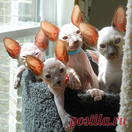 Доступные