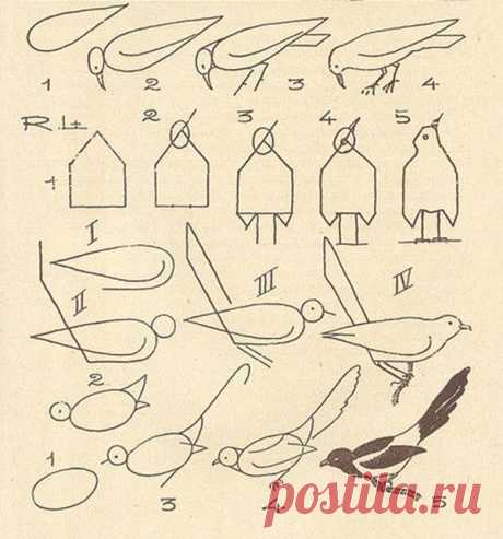 Схемы для рисования животных