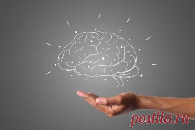 5 способов «прокачать» мозг и заставить его работать на 100% Долгое время существовало представление о том, что человеческий мозг работает лишь на 10%, а его скрытый потенциал остаётся неиспользованным. Эта теория активно обсуждается в книгах, кинофильмах и средствах массовой информации. Например, в кинокартине 