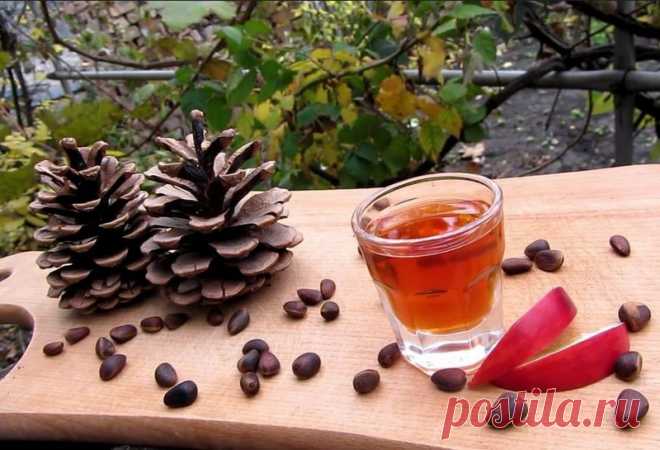 НАСТОЙКА НА КЕДРОВЫХ ОРЕШКАХ – ПЕРЕОЦЕНИТЬ НЕ ВОЗМОЖНО! 
Одним из распространенных вечнозеленых растений, принадлежащих к семейству сосновых, является кедр. Кедры всегда считались могучими деревьями, и не напрасно. 
Средний кедр может достигать 45 м в высо…