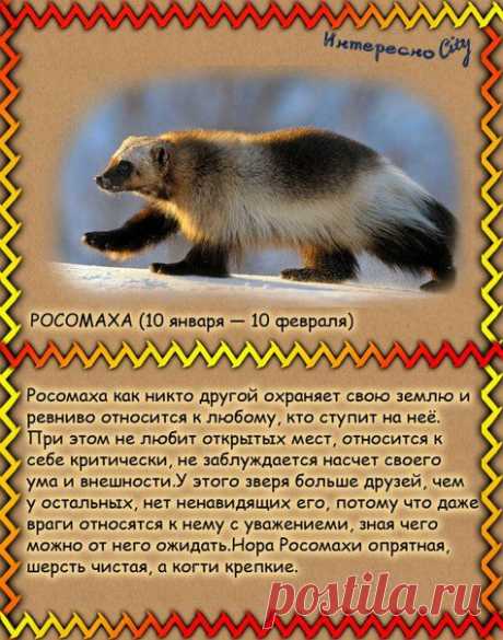 ИнтересноCity