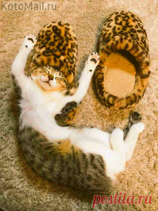 Шапка Мономаха