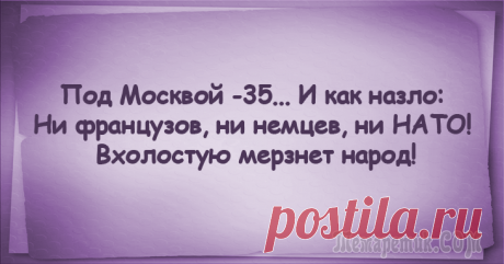 Анекдоты (Новый год - поводим итоги)!
