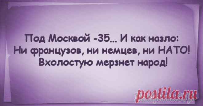 Анекдоты (Новый год - поводим итоги)!